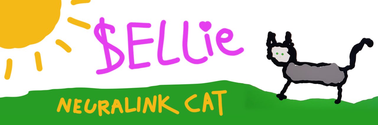 Cat Scene Background