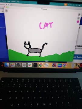 Floating Cat